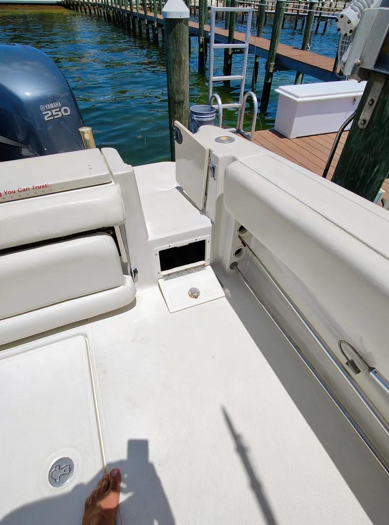 Slide: The Image of Hydra-Sports Vector 2900 CC 2008 - 66