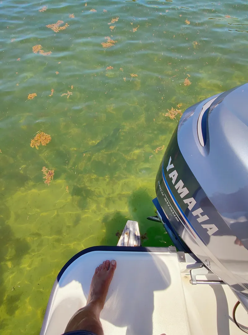 Slide: The Image of Hydra-Sports Vector 2900 CC 2008 - 78