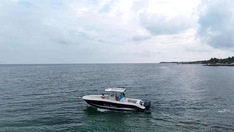 Slide: The Image of Hydra-Sports Vector 2900 CC 2008 - 91