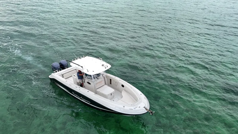 Slide: The Image of Hydra-Sports Vector 2900 CC 2008 - 93