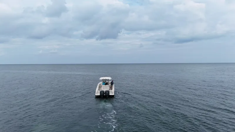 Slide: The Image of Hydra-Sports Vector 2900 CC 2008 - 97