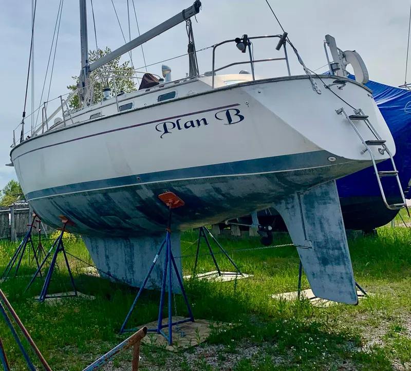 The Image of Morgan 43 CC 1987 - 0