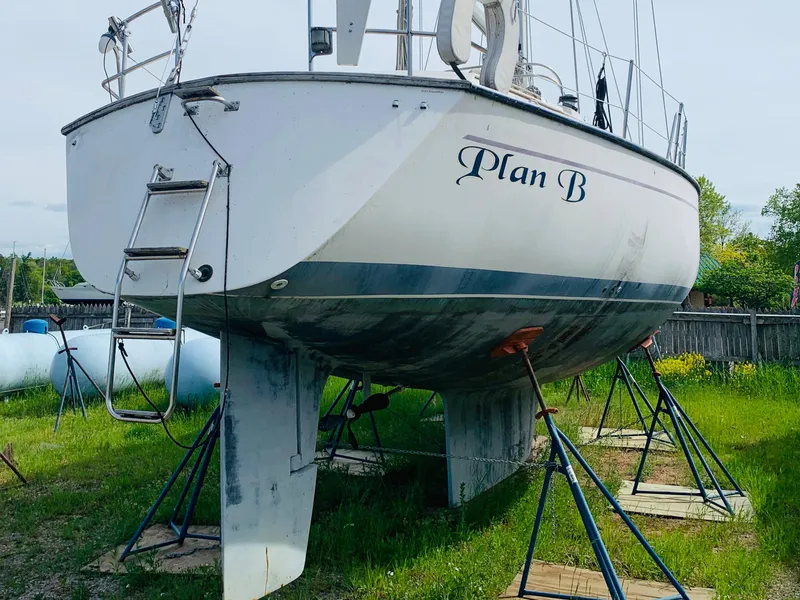 Slide: The Image of Morgan 43 CC 1987 - 1