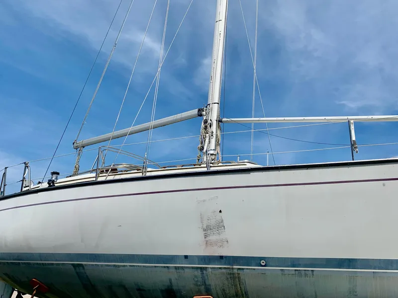 Slide: The Image of Morgan 43 CC 1987 - 2