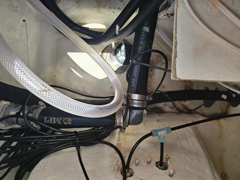 Slide: The Image of Triton 2690 WA 2005 - 36