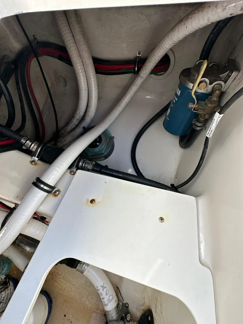 Slide: The Image of Jupiter 30 HFS 2019 - 53