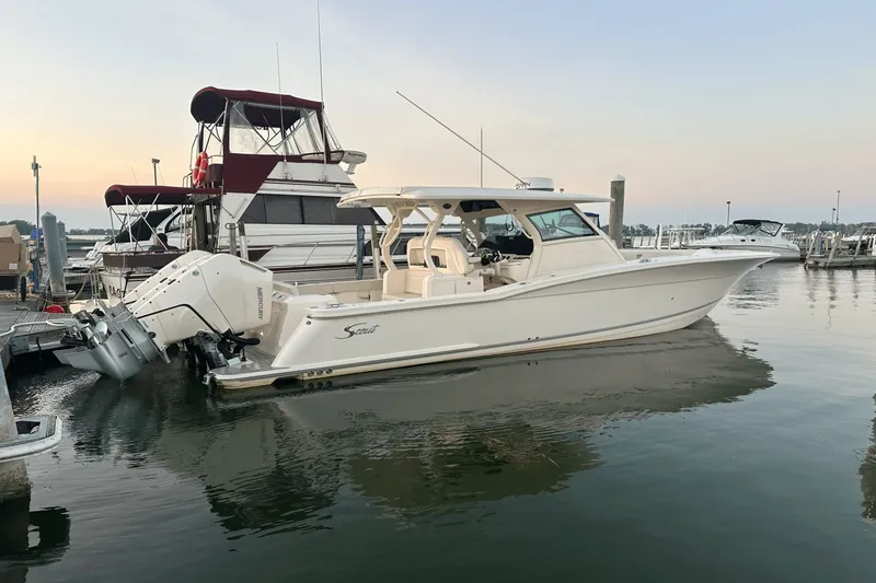 The Image of Scout 377 LXF 2025 - 1