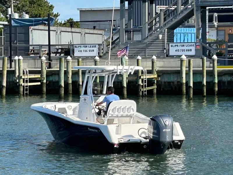 Slide: The Image of 2019 Tidewater 232 CC Adventure boat docked at marina with Slips for Lease signs. - 4