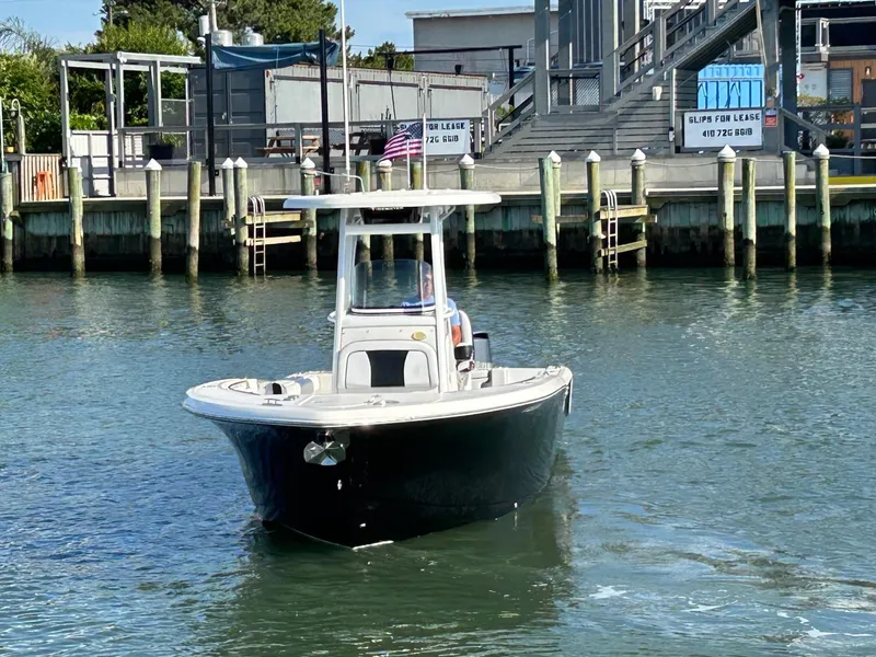 Slide: The Image of 2019 Tidewater 232 CC Adventure boat docked in a marina. - 6