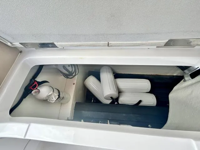 Slide: The Image of Cobalt 242 2013 - 36