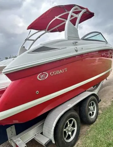 Slide: The Image of Cobalt 242 2013 - 9