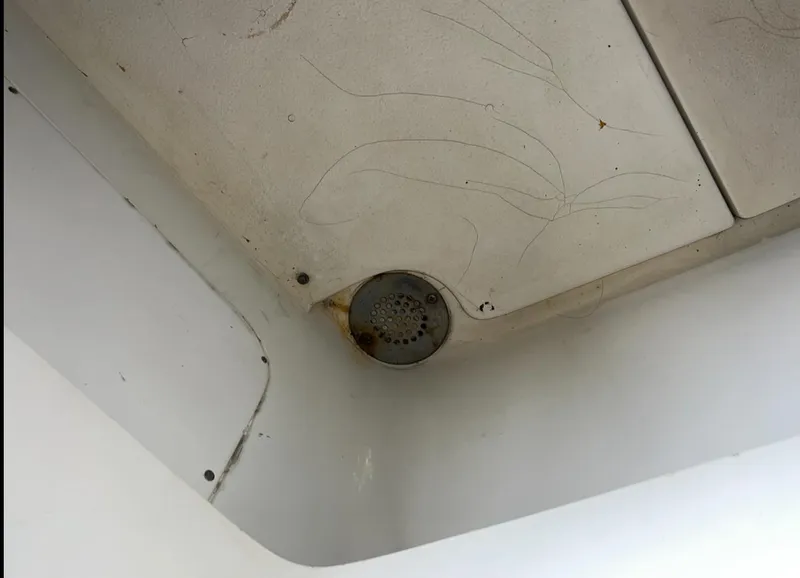 Slide: The Image of Trojan F-32 1979 - 12