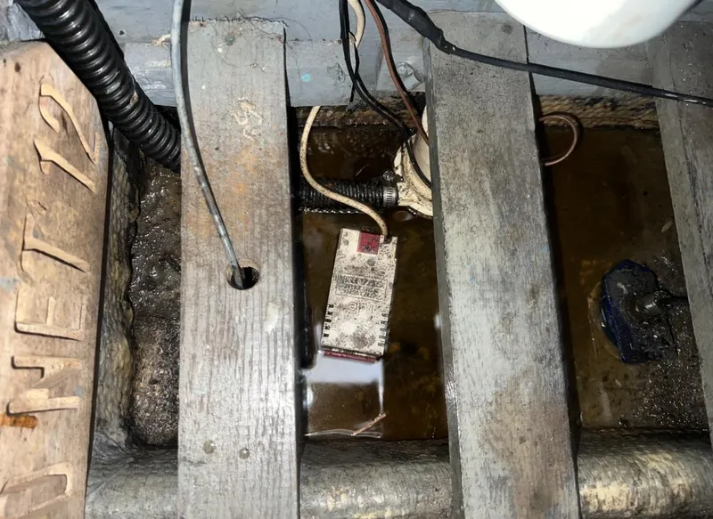 Slide: The Image of Trojan F-32 1979 - 47