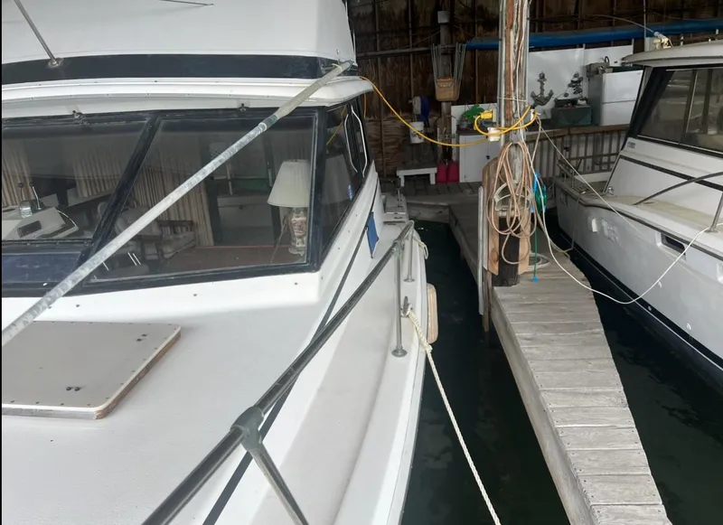 Slide: The Image of Trojan F-32 1979 - 6