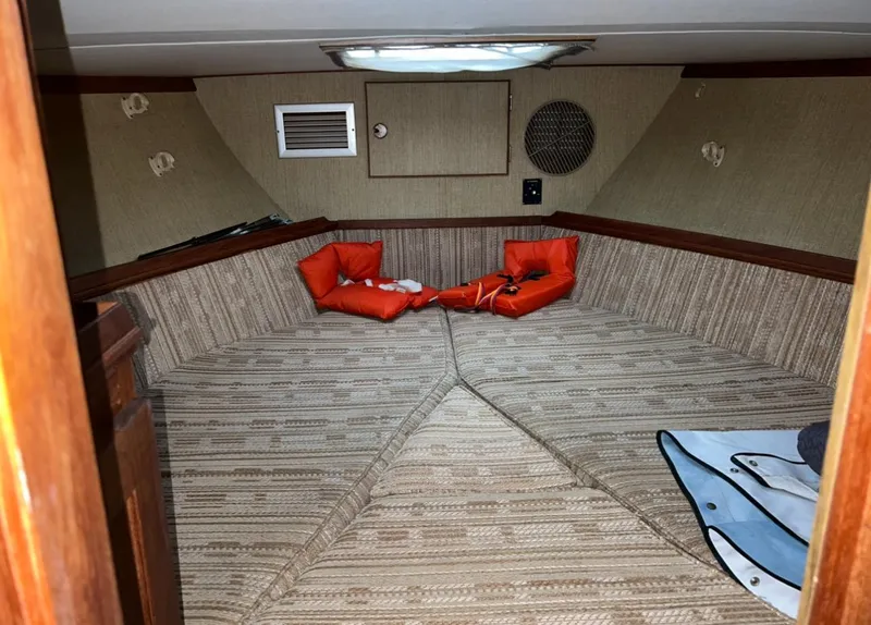 Slide: The Image of Trojan F-32 1979 - 71