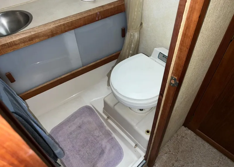 Slide: The Image of Trojan F-32 1979 - 80