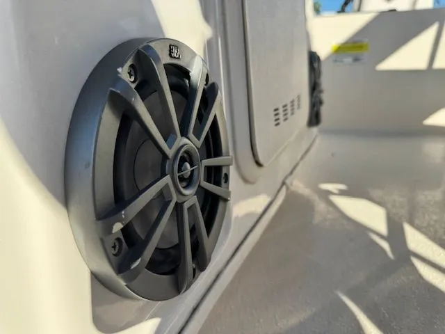 Slide: The Image of Carolina 19 SWS 2024 - 13