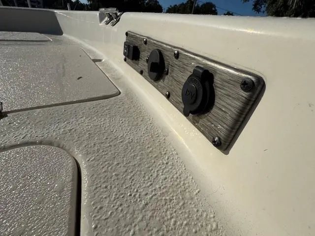 Slide: The Image of Carolina 19 SWS 2024 - 18