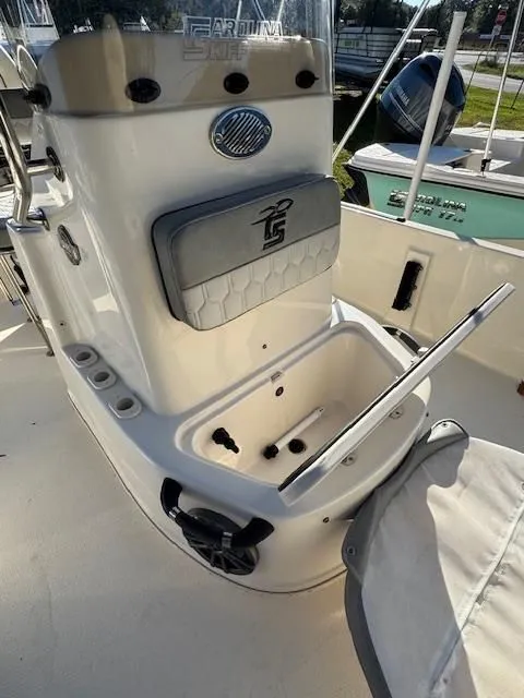 Slide: The Image of Carolina 19 SWS 2024 - 20