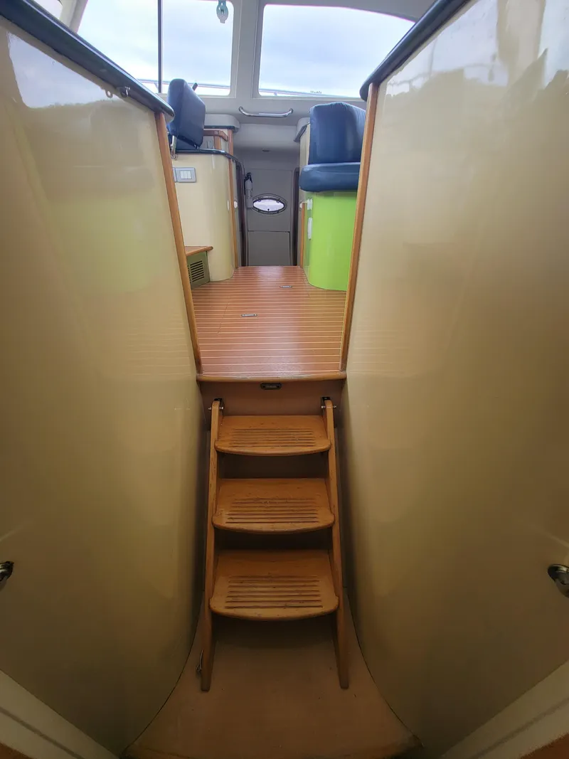 Slide: The Image of Lion Robertson & Caine Lion 46 2003 - 100