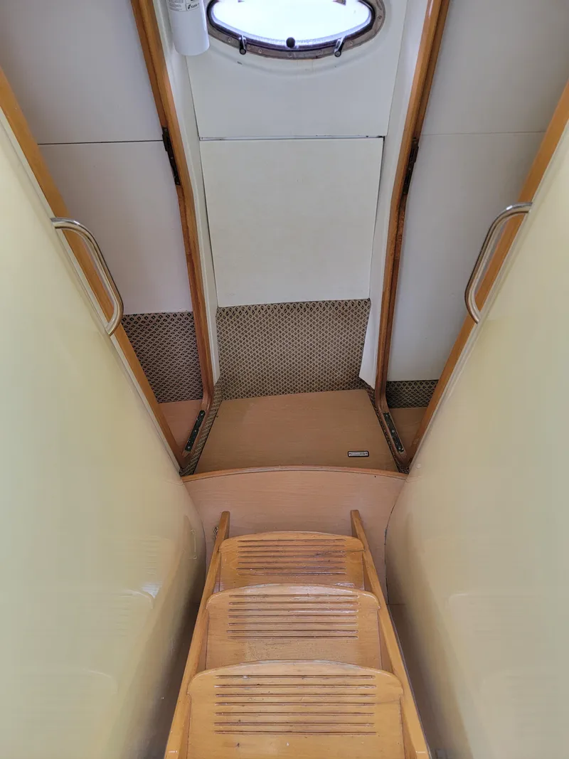 Slide: The Image of Lion Robertson & Caine Lion 46 2003 - 101