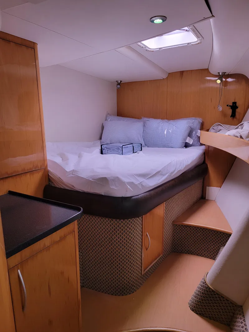 Slide: The Image of Lion Robertson & Caine Lion 46 2003 - 103