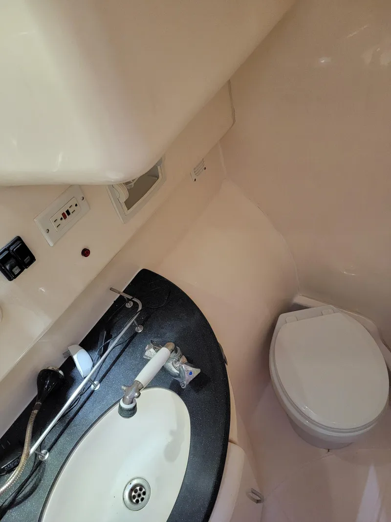 Slide: The Image of Lion Robertson & Caine Lion 46 2003 - 104