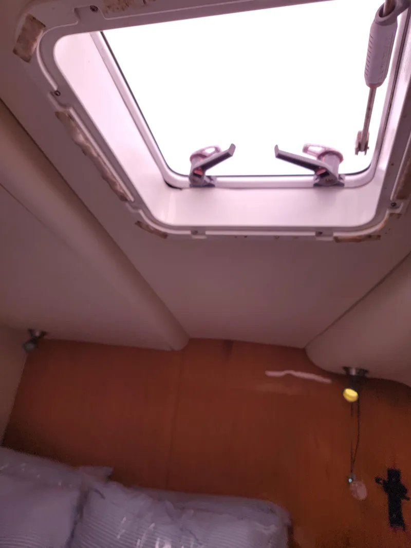 Slide: The Image of Lion Robertson & Caine Lion 46 2003 - 105