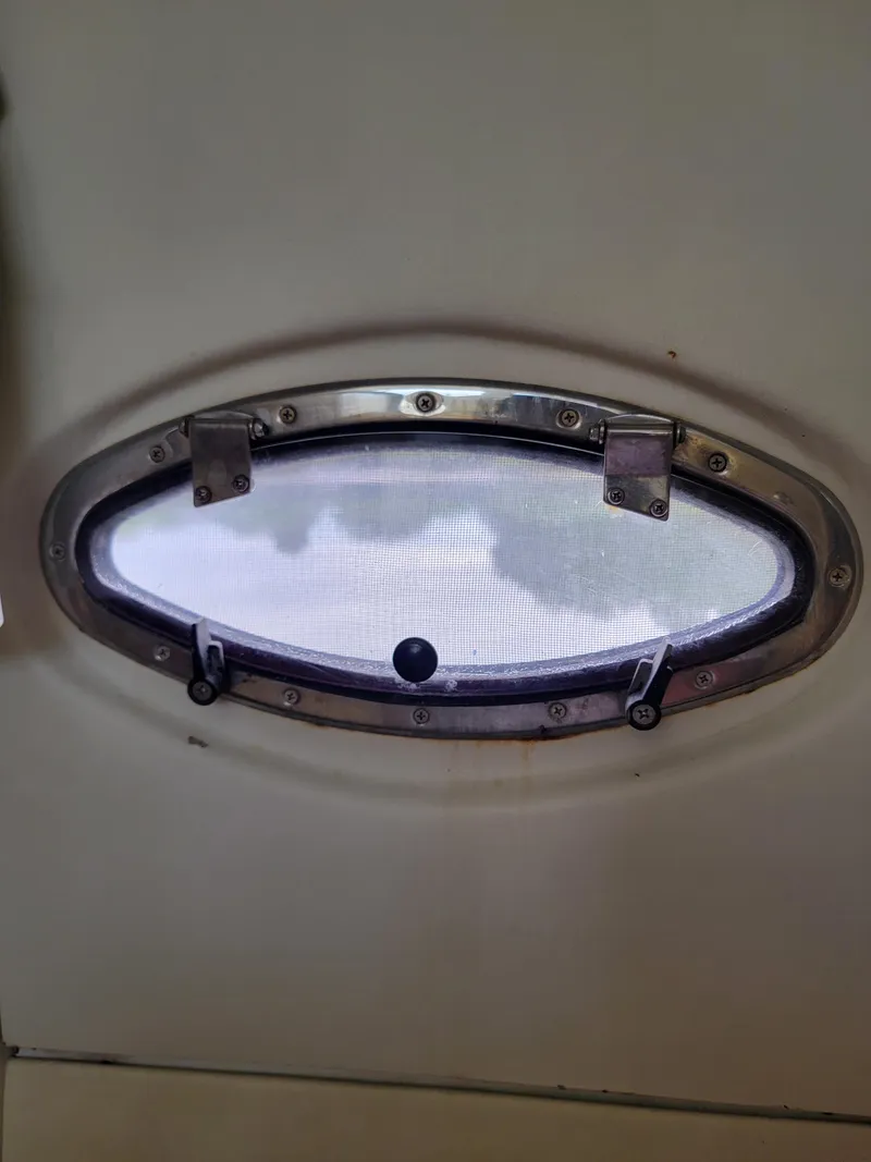 Slide: The Image of Lion Robertson & Caine Lion 46 2003 - 107