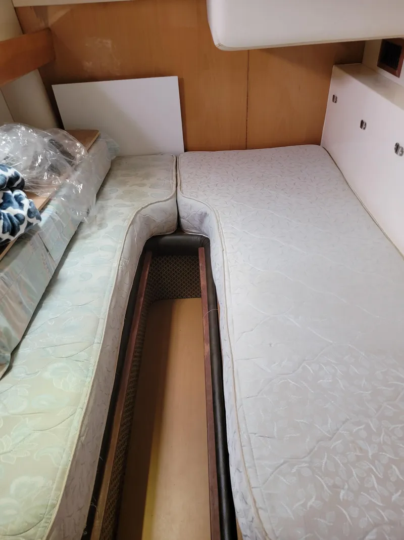 Slide: The Image of Lion Robertson & Caine Lion 46 2003 - 109