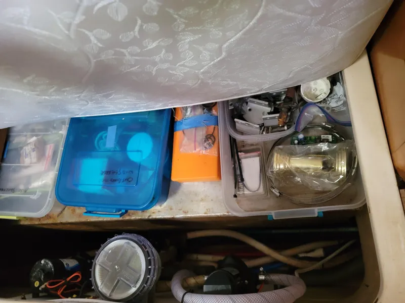 Slide: The Image of Lion Robertson & Caine Lion 46 2003 - 110