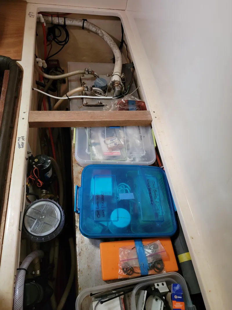 Slide: The Image of Lion Robertson & Caine Lion 46 2003 - 112