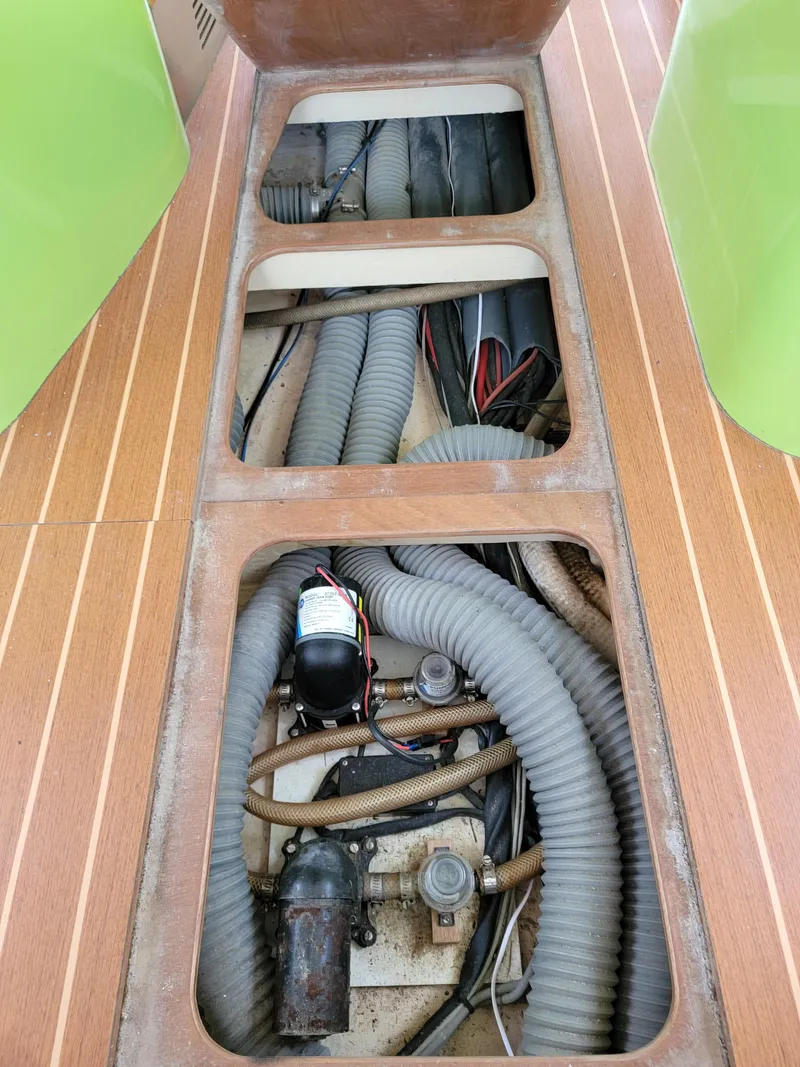 Slide: The Image of Lion Robertson & Caine Lion 46 2003 - 113