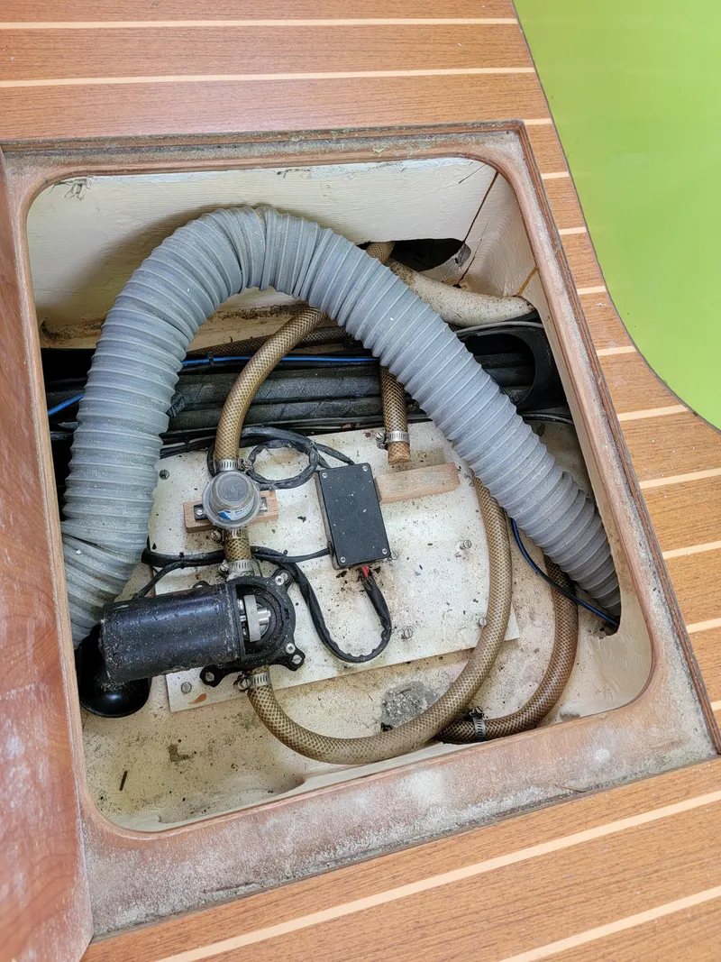 Slide: The Image of Lion Robertson & Caine Lion 46 2003 - 114