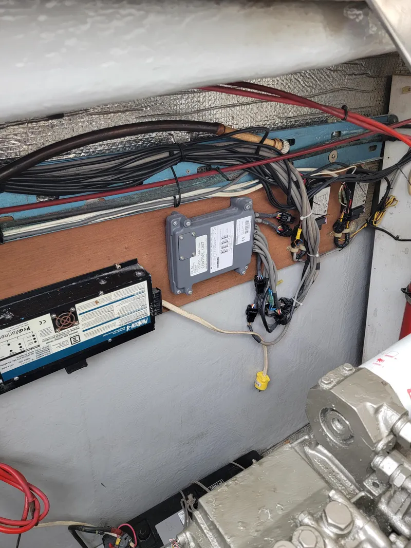 Slide: The Image of Lion Robertson & Caine Lion 46 2003 - 115