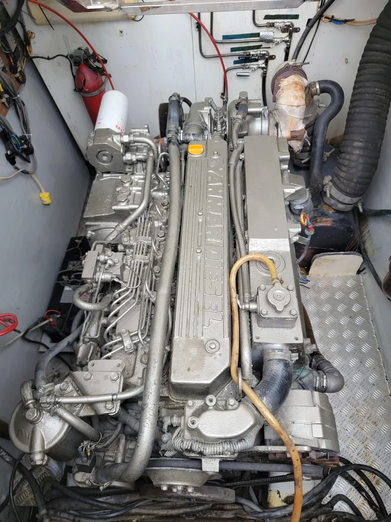 Slide: The Image of Lion Robertson & Caine Lion 46 2003 - 116