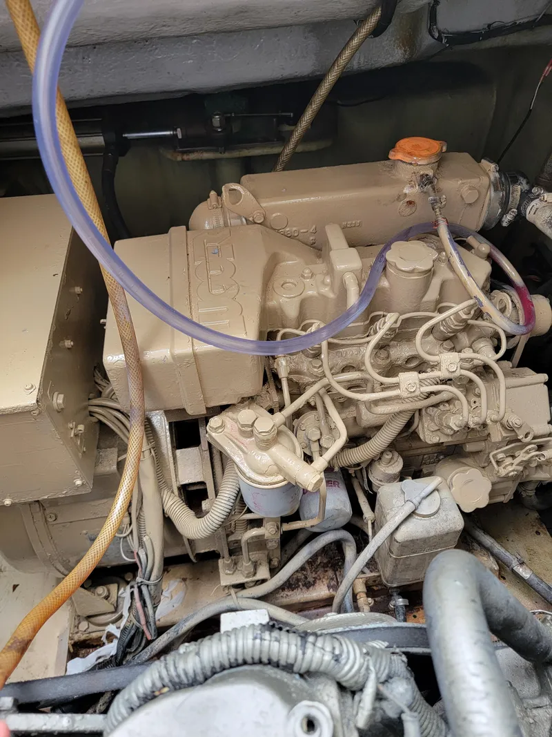 Slide: The Image of Lion Robertson & Caine Lion 46 2003 - 117