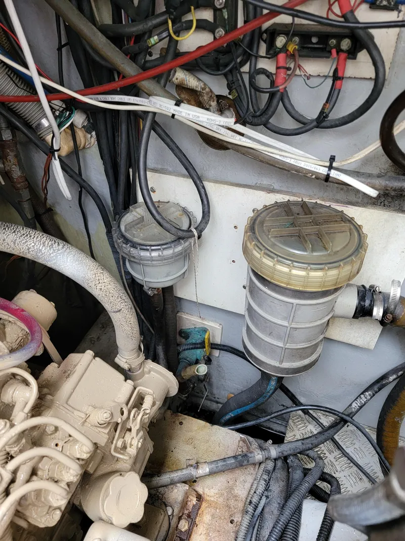 Slide: The Image of Lion Robertson & Caine Lion 46 2003 - 118