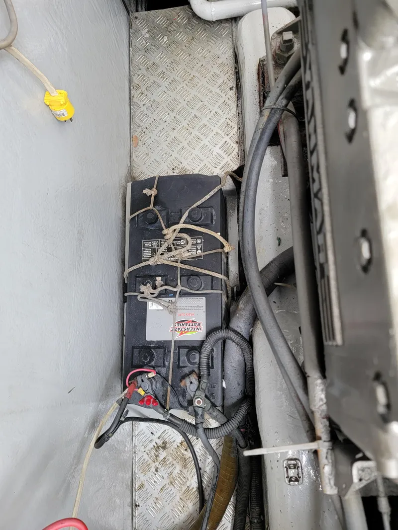 Slide: The Image of Lion Robertson & Caine Lion 46 2003 - 119