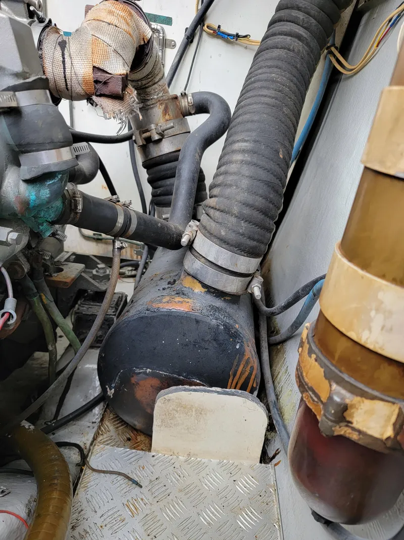 Slide: The Image of Lion Robertson & Caine Lion 46 2003 - 120