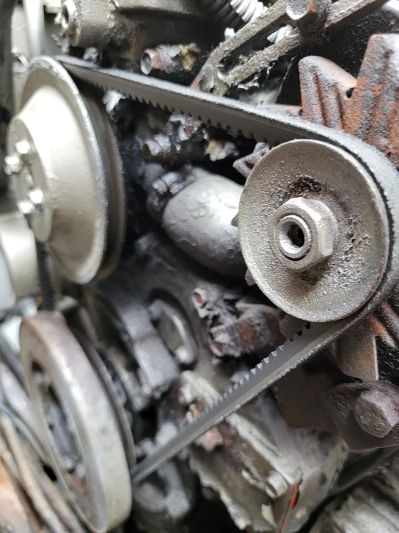 Slide: The Image of Lion Robertson & Caine Lion 46 2003 - 121