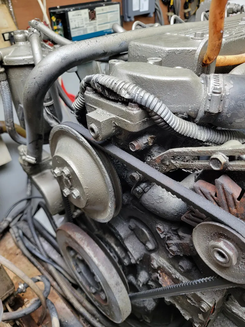 Slide: The Image of Lion Robertson & Caine Lion 46 2003 - 122