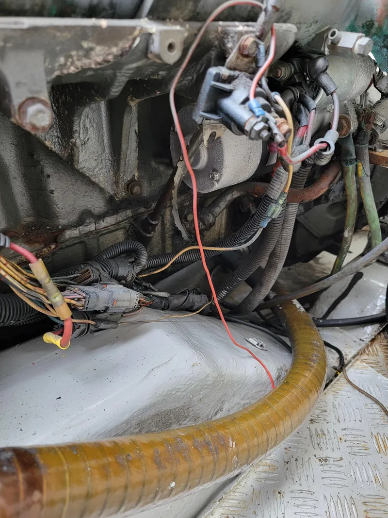 Slide: The Image of Lion Robertson & Caine Lion 46 2003 - 123