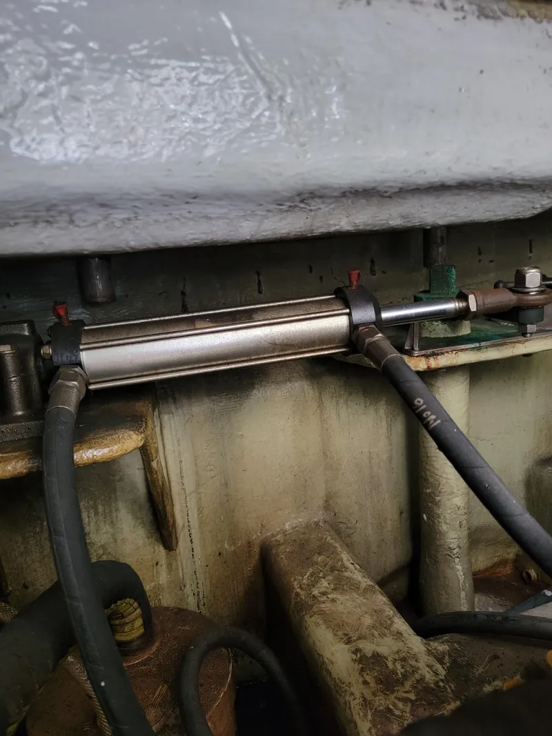 Slide: The Image of Lion Robertson & Caine Lion 46 2003 - 124