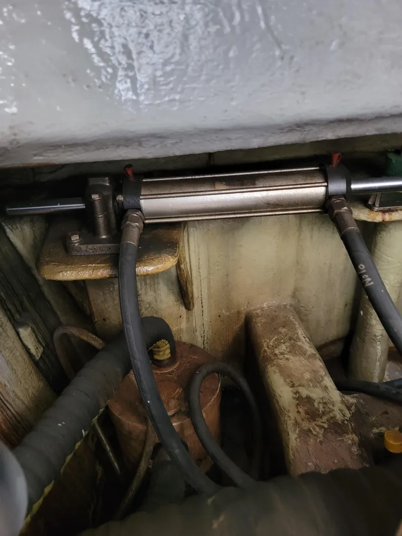 Slide: The Image of Lion Robertson & Caine Lion 46 2003 - 129