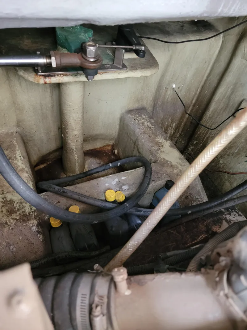 Slide: The Image of Lion Robertson & Caine Lion 46 2003 - 130