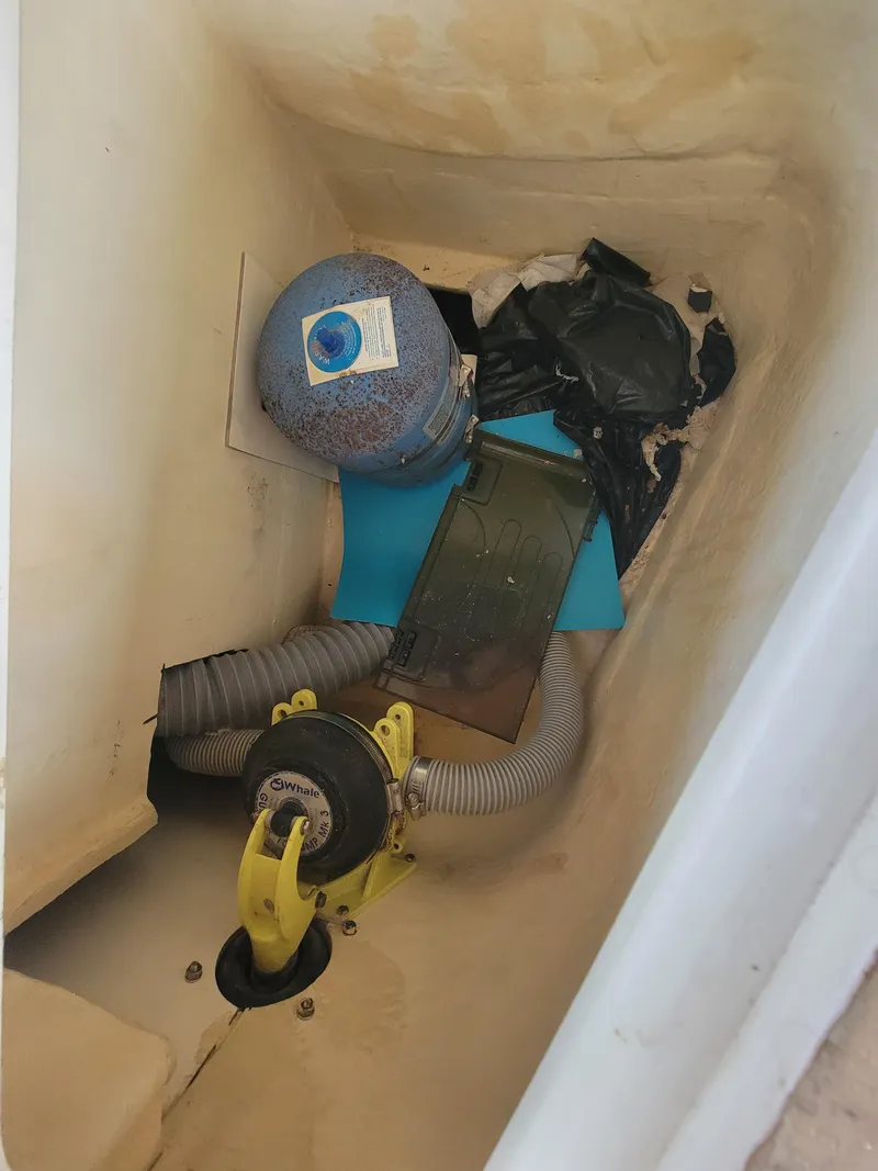 Slide: The Image of Lion Robertson & Caine Lion 46 2003 - 131