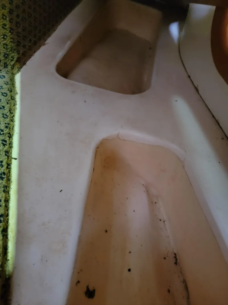 Slide: The Image of Lion Robertson & Caine Lion 46 2003 - 137