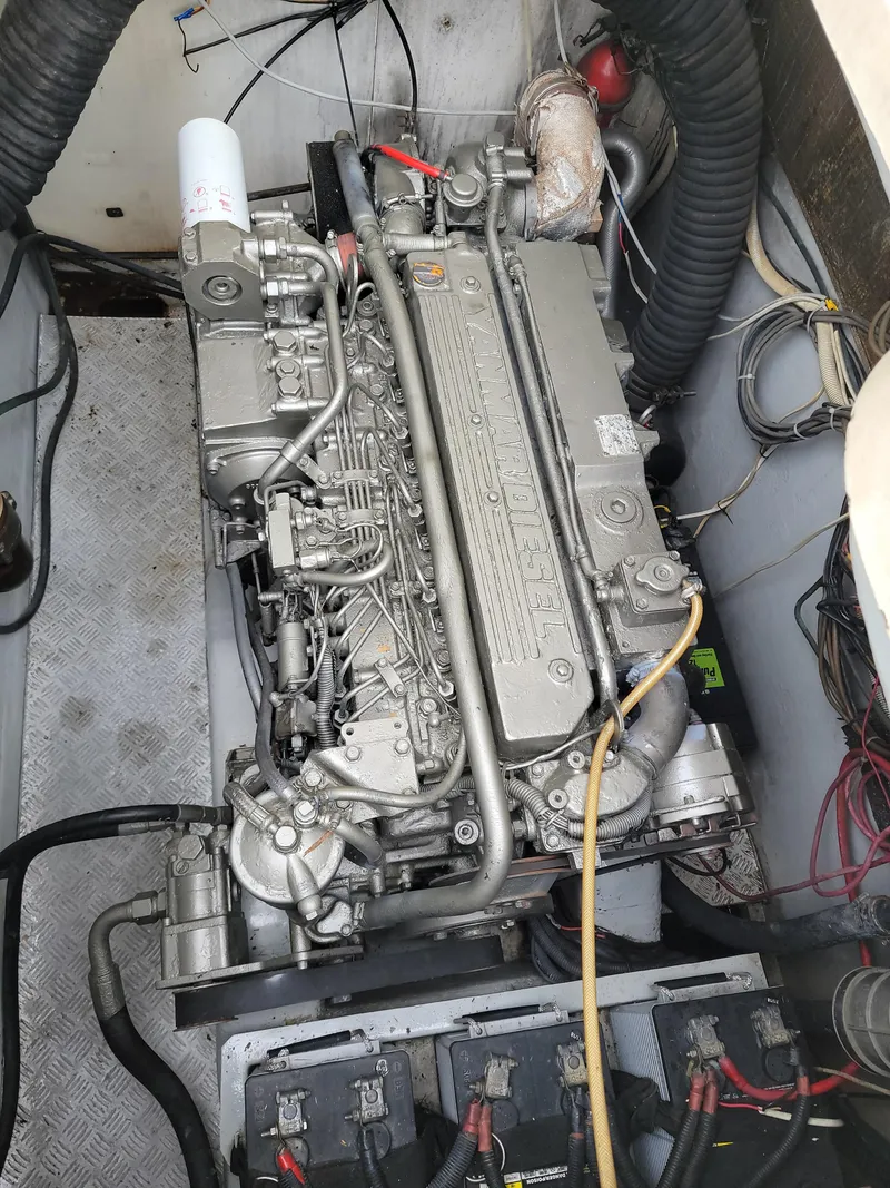 Slide: The Image of Lion Robertson & Caine Lion 46 2003 - 138