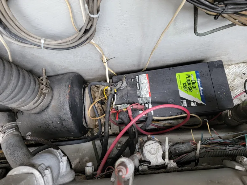 Slide: The Image of Lion Robertson & Caine Lion 46 2003 - 139